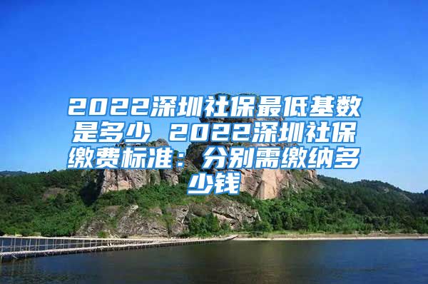 2022深圳社保最低基数是多少 2022深圳社保缴费标准：分别需缴纳多少钱