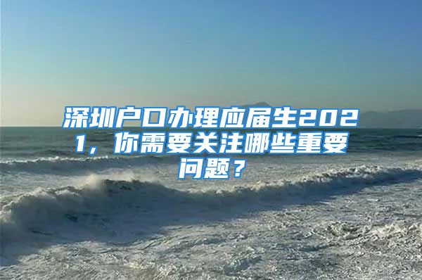 深圳户口办理应届生2021，你需要关注哪些重要问题？