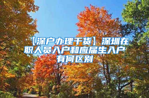 【深户办理干货】深圳在职人员入户和应届生入户有何区别