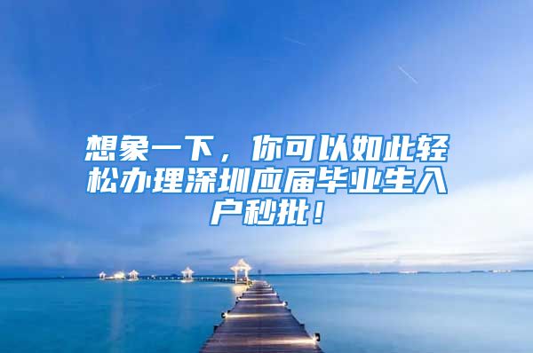 想象一下，你可以如此轻松办理深圳应届毕业生入户秒批！