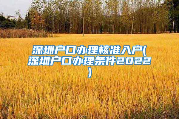 深圳户口办理核准入户(深圳户口办理条件2022)