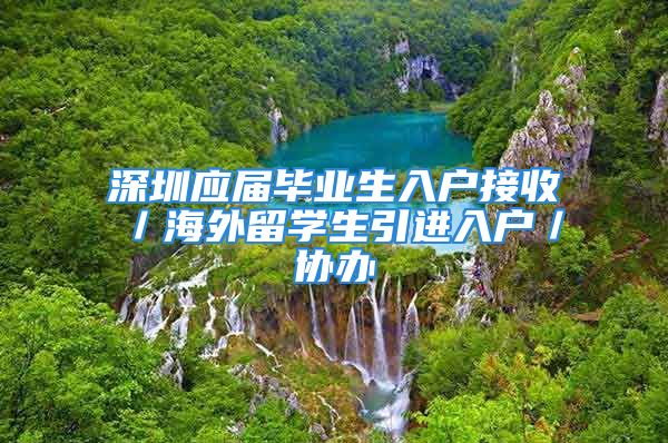 深圳应届毕业生入户接收／海外留学生引进入户／协办