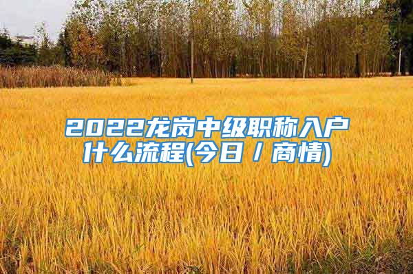 2022龙岗中级职称入户什么流程(今日／商情)