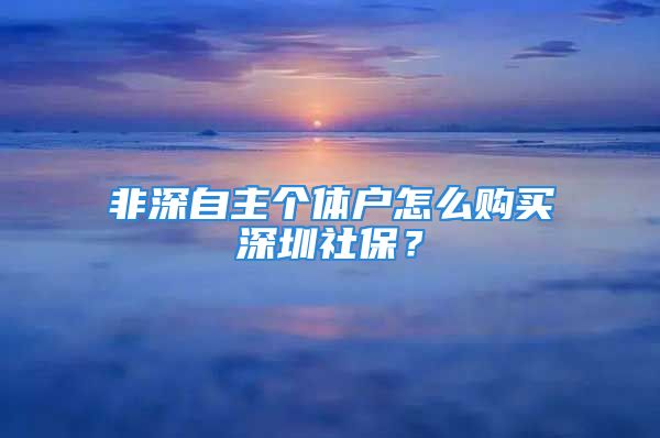 非深自主个体户怎么购买深圳社保？