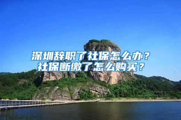 深圳辞职了社保怎么办？社保断缴了怎么购买？