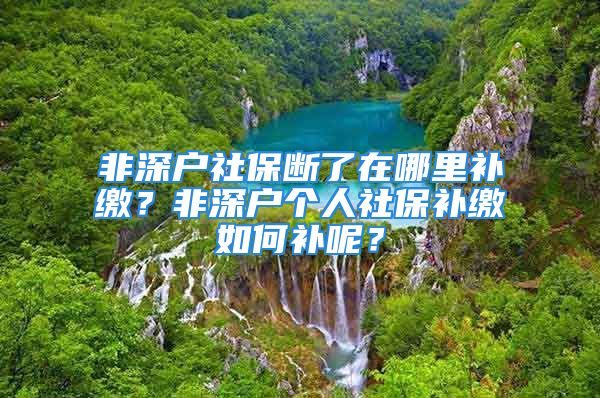 非深户社保断了在哪里补缴？非深户个人社保补缴如何补呢？