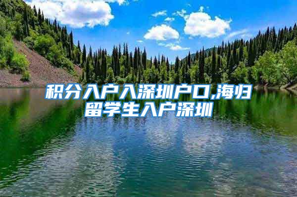 积分入户入深圳户口,海归留学生入户深圳