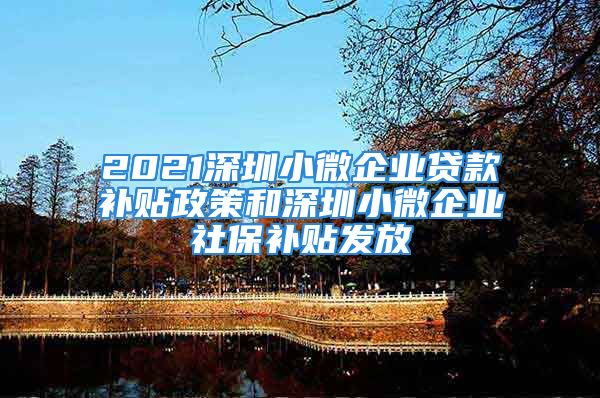 2021深圳小微企业贷款补贴政策和深圳小微企业社保补贴发放