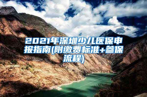 2021年深圳少儿医保申报指南(附缴费标准+参保流程)