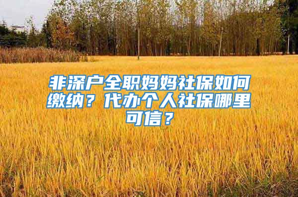 非深户全职妈妈社保如何缴纳？代办个人社保哪里可信？