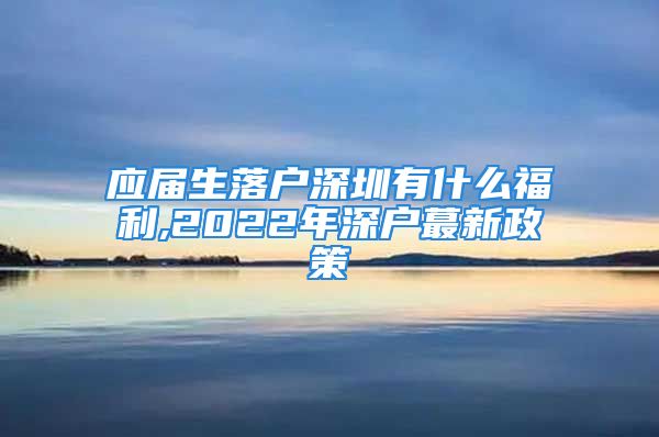 应届生落户深圳有什么福利,2022年深户蕞新政策