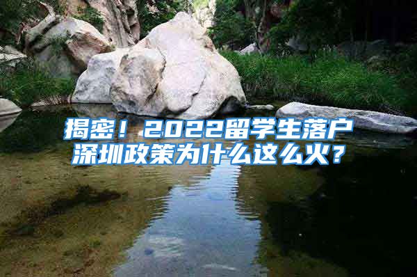 揭密！2022留学生落户深圳政策为什么这么火？