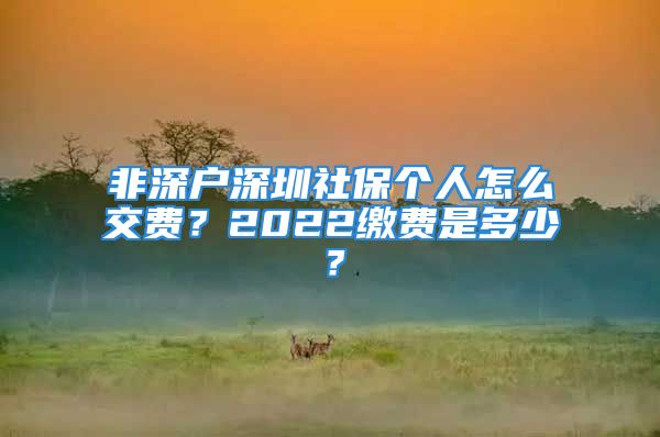 非深户深圳社保个人怎么交费？2022缴费是多少？