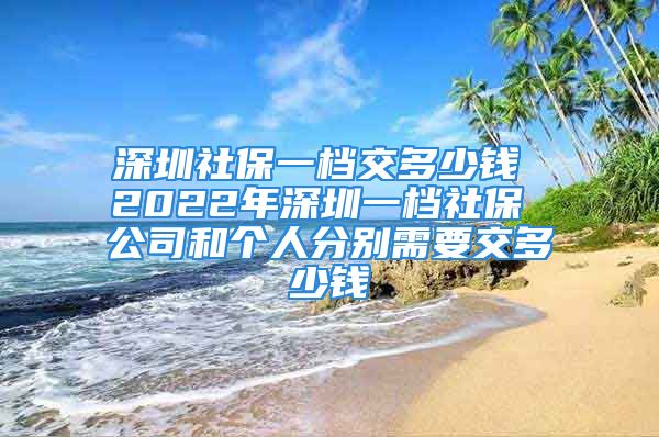 深圳社保一档交多少钱 2022年深圳一档社保 公司和个人分别需要交多少钱