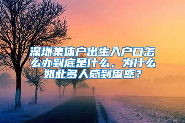 深圳集体户出生入户口怎么办到底是什么，为什么如此多人感到困惑？