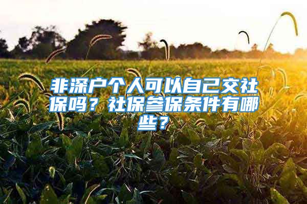 非深户个人可以自己交社保吗？社保参保条件有哪些？