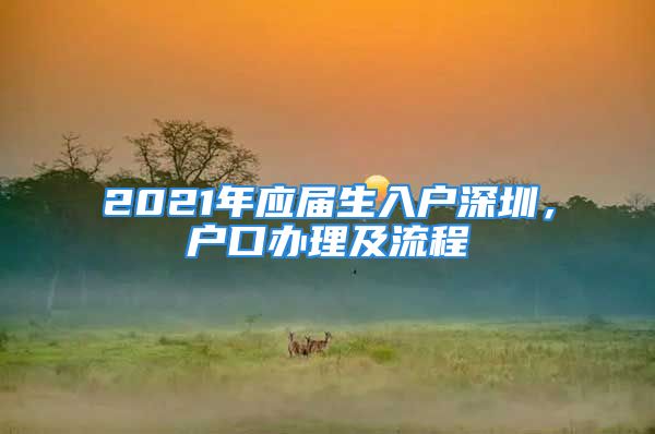 2021年应届生入户深圳，户口办理及流程