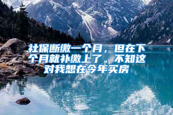 社保断缴一个月，但在下个月就补缴上了。不知这对我想在今年买房