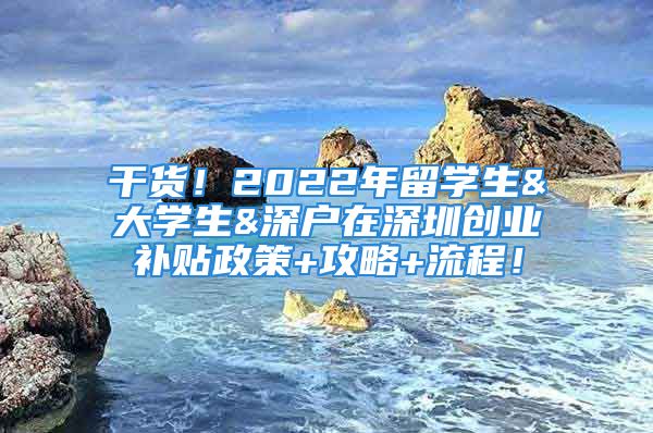 干货！2022年留学生&大学生&深户在深圳创业补贴政策+攻略+流程！