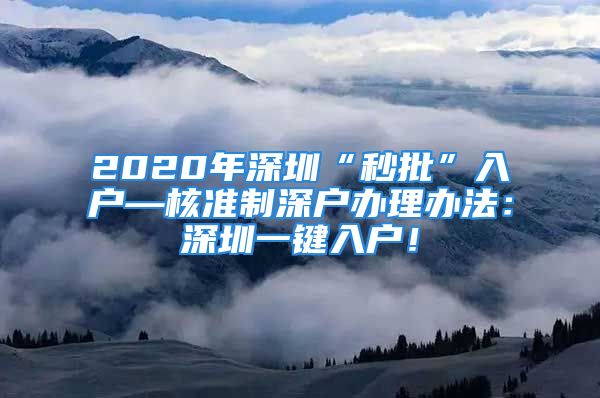 2020年深圳“秒批”入户—核准制深户办理办法：深圳一键入户！