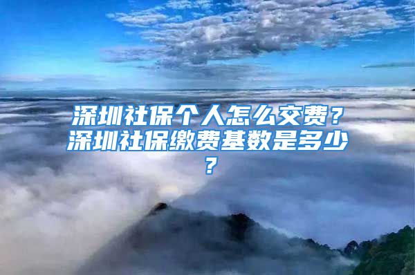 深圳社保个人怎么交费？深圳社保缴费基数是多少？