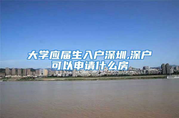 大学应届生入户深圳,深户可以申请什么房