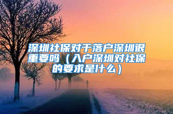 深圳社保对于落户深圳很重要吗（入户深圳对社保的要求是什么）