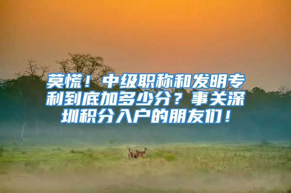 莫慌！中级职称和发明专利到底加多少分？事关深圳积分入户的朋友们！