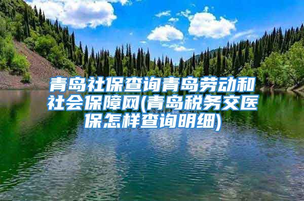 青岛社保查询青岛劳动和社会保障网(青岛税务交医保怎样查询明细)