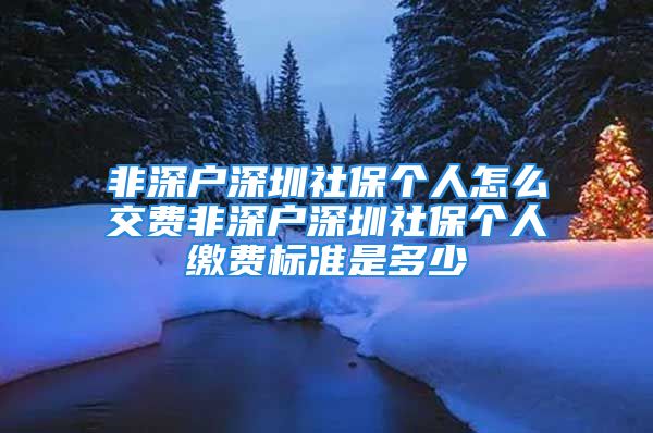 非深户深圳社保个人怎么交费非深户深圳社保个人缴费标准是多少