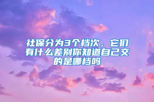 社保分为3个档次，它们有什么差别你知道自己交的是哪档吗