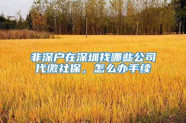 非深户在深圳找哪些公司代缴社保，怎么办手续