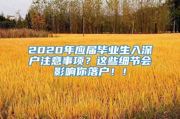 2020年应届毕业生入深户注意事项？这些细节会影响你落户！！