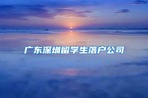 广东深圳留学生落户公司