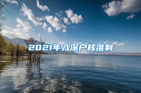 2021年入深户核准制