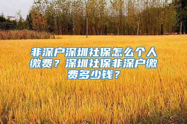 非深户深圳社保怎么个人缴费？深圳社保非深户缴费多少钱？