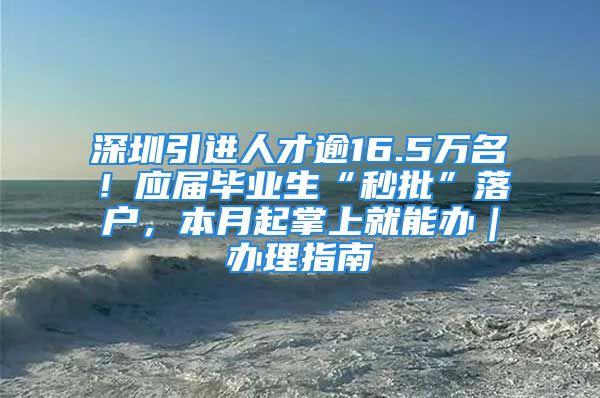 深圳引进人才逾16.5万名！应届毕业生“秒批”落户，本月起掌上就能办｜办理指南