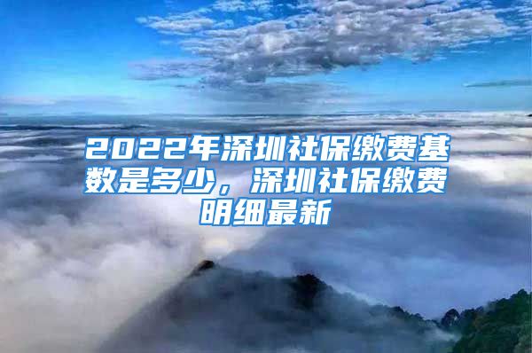 2022年深圳社保缴费基数是多少，深圳社保缴费明细最新