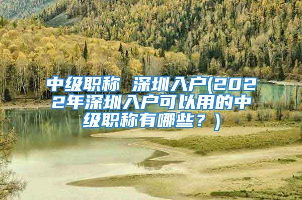 中级职称 深圳入户(2022年深圳入户可以用的中级职称有哪些？)