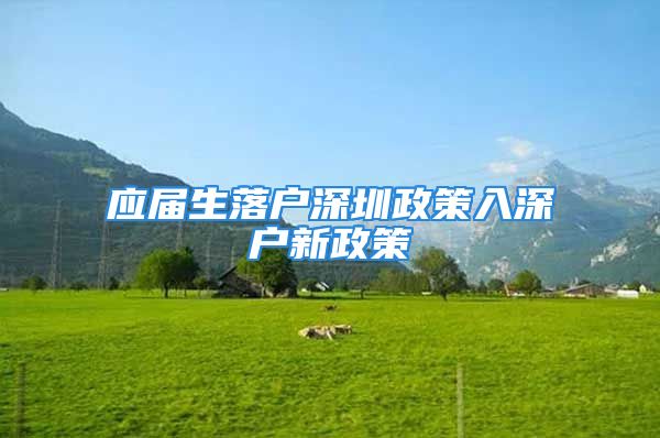 应届生落户深圳政策入深户新政策