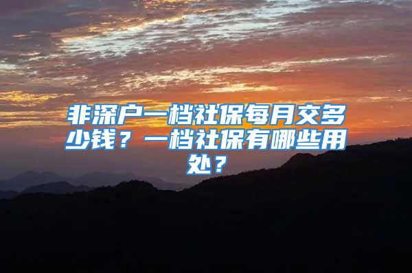 非深户一档社保每月交多少钱？一档社保有哪些用处？