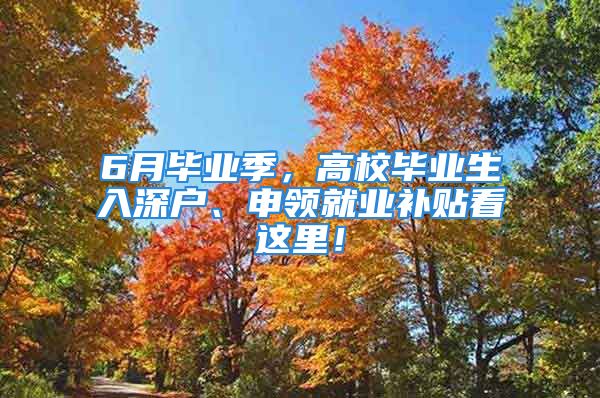 6月毕业季，高校毕业生入深户、申领就业补贴看这里！