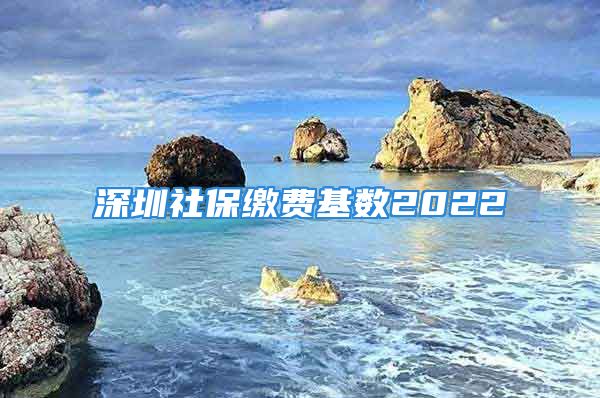 深圳社保缴费基数2022