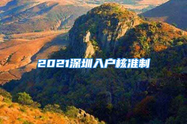 2021深圳入户核准制