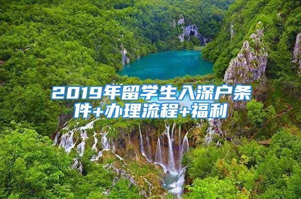 2019年留学生入深户条件+办理流程+福利