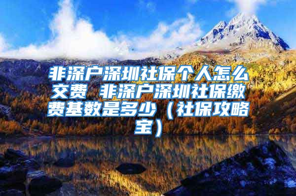 非深户深圳社保个人怎么交费 非深户深圳社保缴费基数是多少（社保攻略宝）