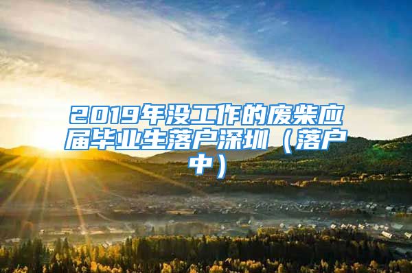 2019年没工作的废柴应届毕业生落户深圳（落户中）