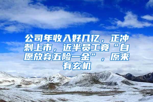 公司年收入好几亿，正冲刺上市，近半员工竟“自愿放弃五险一金”，原来有玄机