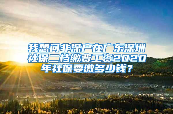 我想问非深户在广东深圳社保二档缴费工资2020年社保要缴多少钱？