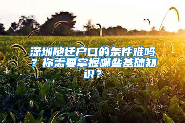 深圳随迁户口的条件难吗？你需要掌握哪些基础知识？